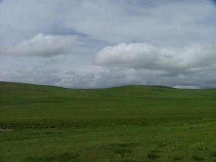 a0155838_225497.jpg