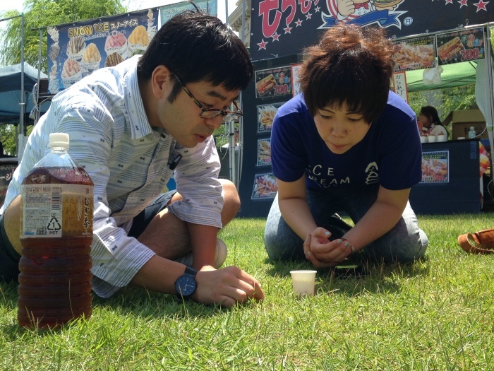 新潟銘菓の浮き星、夏のイベントにたくさん出店いたしました♪_e0031142_16093956.jpg