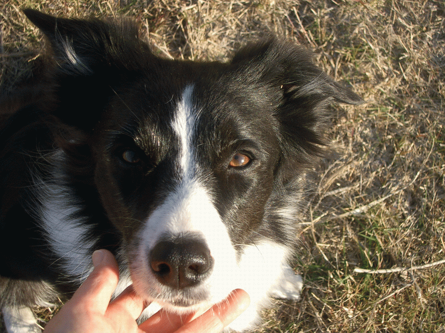e0128144_17205117.gif