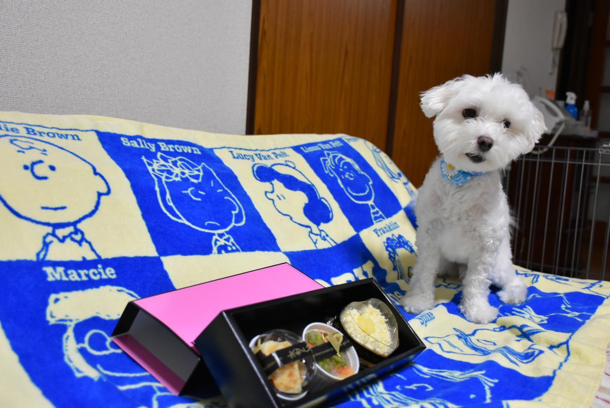b0254548_22204338.jpeg