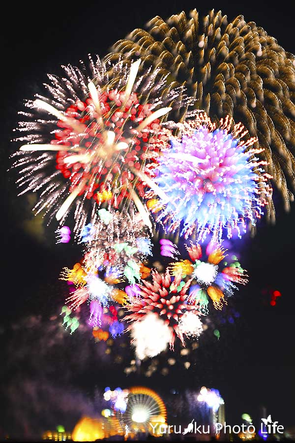 Fireworks Ⅴ - ゆる〜くPhoto Life