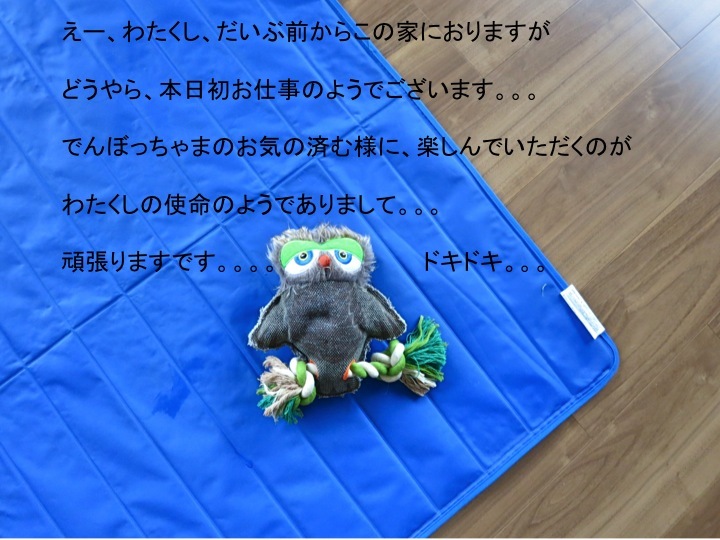 本日のえじき_c0260460_11193195.jpg
