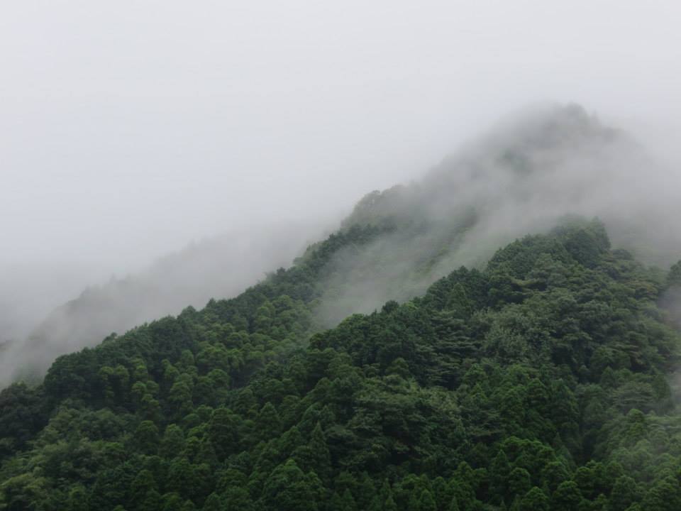 晴れも良いけど　雨の方が好き_d0056663_0103660.jpg