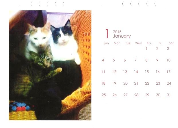 自作カレンダー①　『猫のいる風景』_e0353681_20044714.jpg