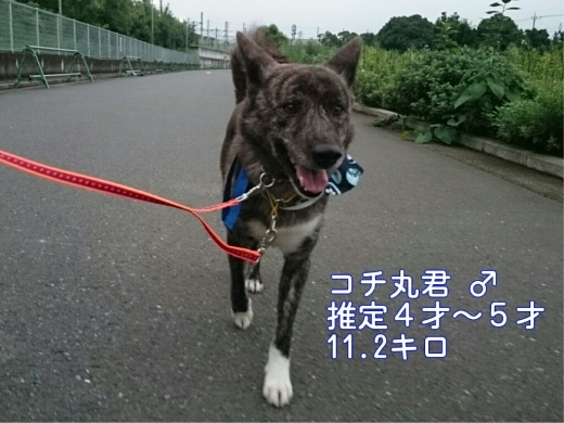 卒業と新入り_e0297387_22033360.jpg