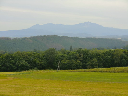 久しぶりの北海道_b0111791_1813437.jpg