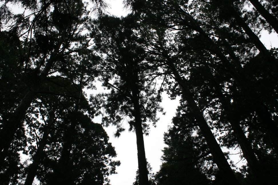 f0242002_22522994.jpg
