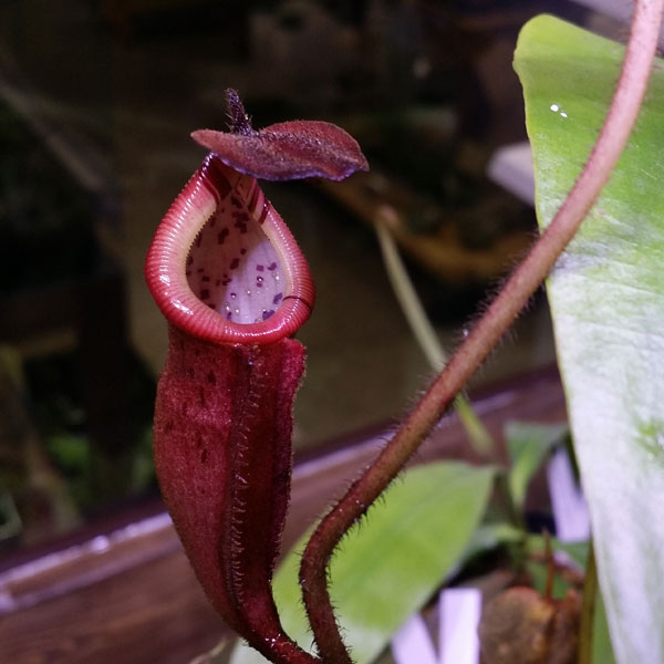 c0165803_23525924.jpg