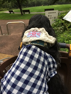 a0134004_8371346.jpg