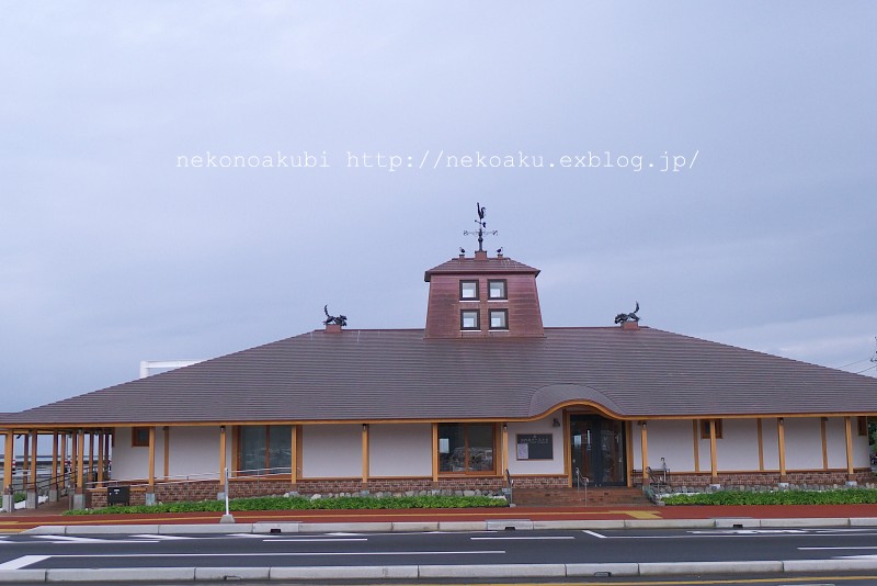高速船甑島 川内港ターミナル ねこのあくび