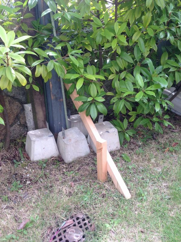 天災によるメンテナンス_b0131012_11563516.jpg