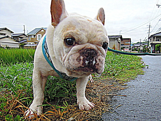 a0158613_10302898.jpg