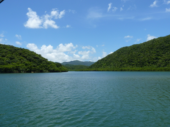 b0166613_2421481.jpg