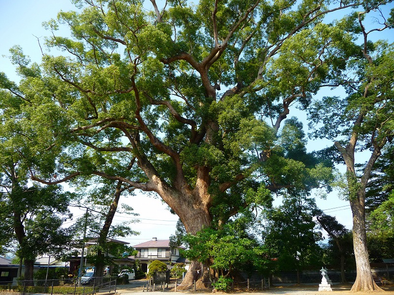 f0182513_23185593.jpg