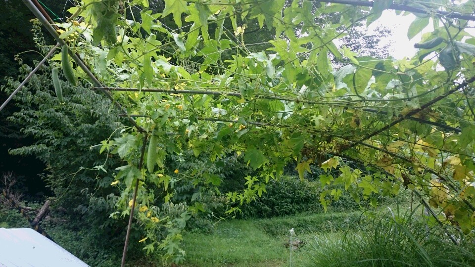 f0260120_21252550.jpg
