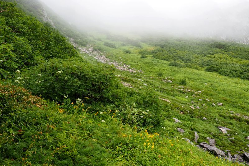 c0369423_21354207.jpg