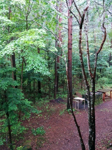e0085133_23270766.jpg