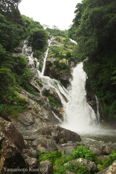 a0095337_01013687.jpg