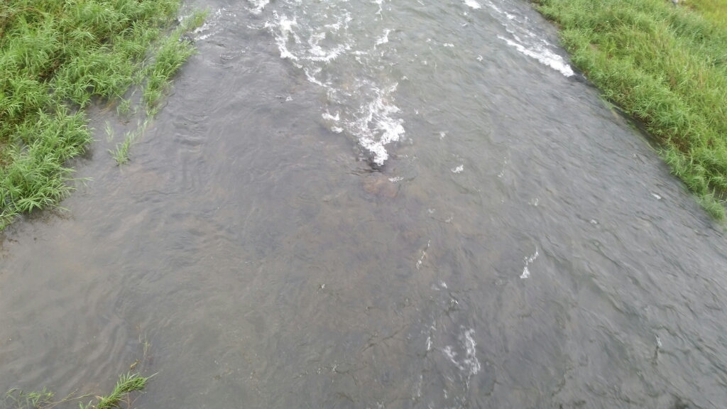 c0266737_07001711.jpg
