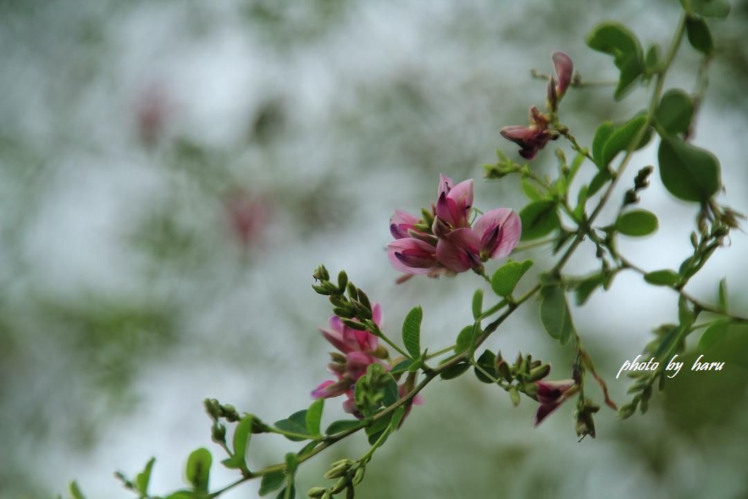 f0297537_09202675.jpg