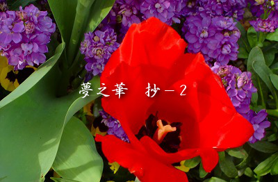 与謝野晶子第六歌集≪夢之華≫抄－2 : Merrydiary