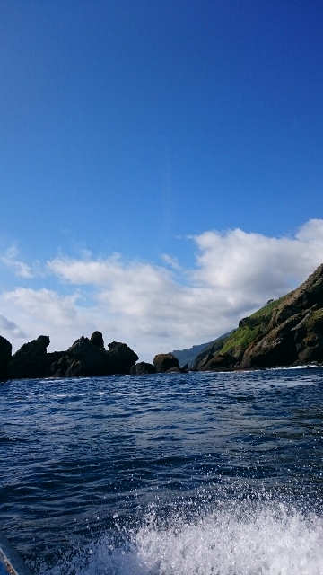 b0072541_24433.jpg