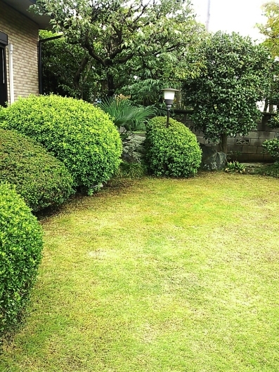 c0134850_20531807.jpg