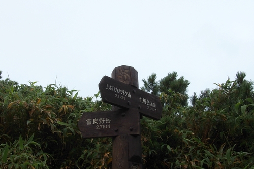 e0105954_16175445.jpg