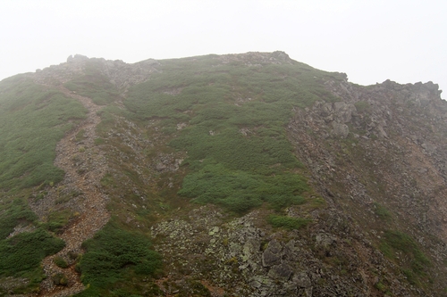 e0105954_16541597.jpg