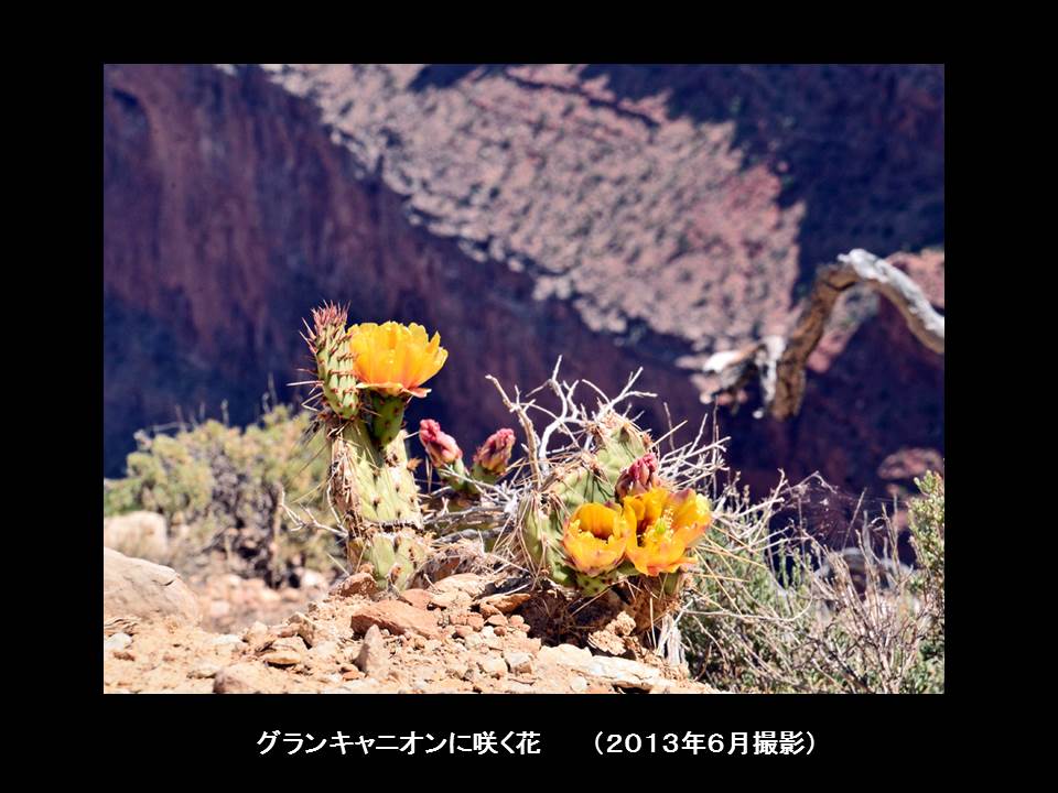 a0261857_14291573.jpg