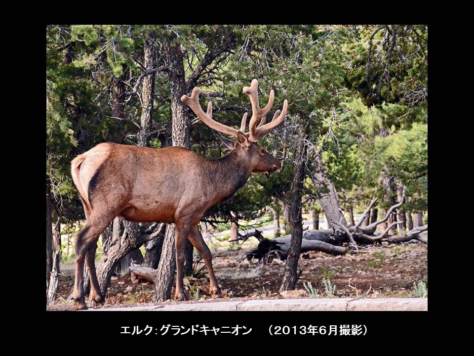 a0261857_14295139.jpg