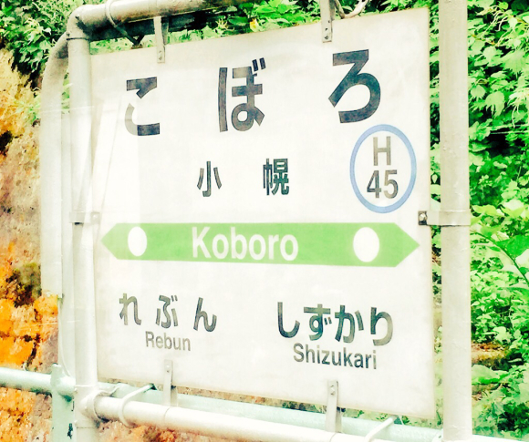 1日散歩切符で行く秘境駅の旅。_d0156358_18281394.jpg
