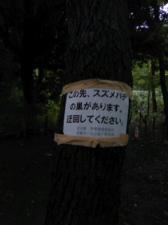 高知同士の出会いづくりの段取りに今日も奔走_f0291565_9205676.jpg