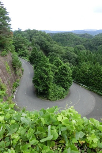 蒜山高原　サイクリング（二日目）_b0332867_18353774.jpg