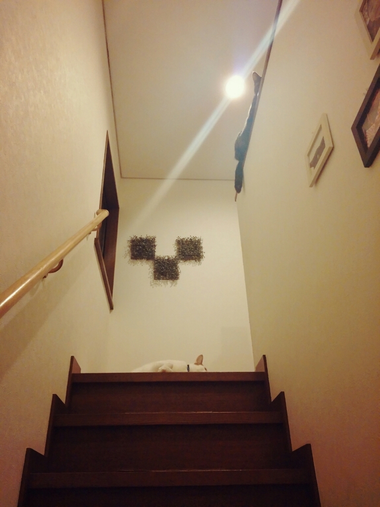 f0238772_13294359.jpg