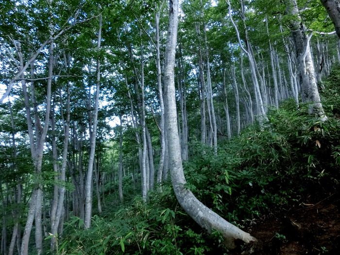 b0185573_14572540.jpg