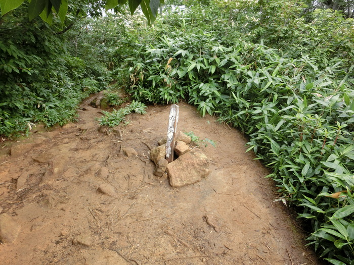 b0185573_15113143.jpg