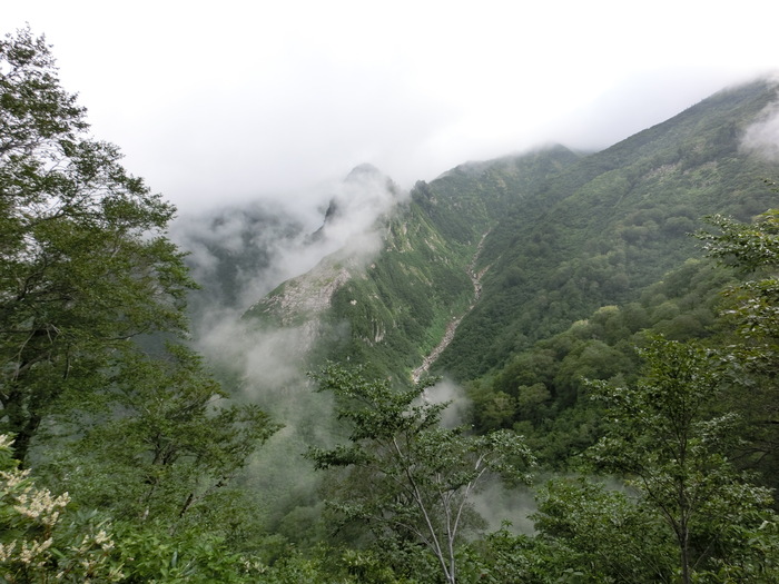 b0185573_1523769.jpg