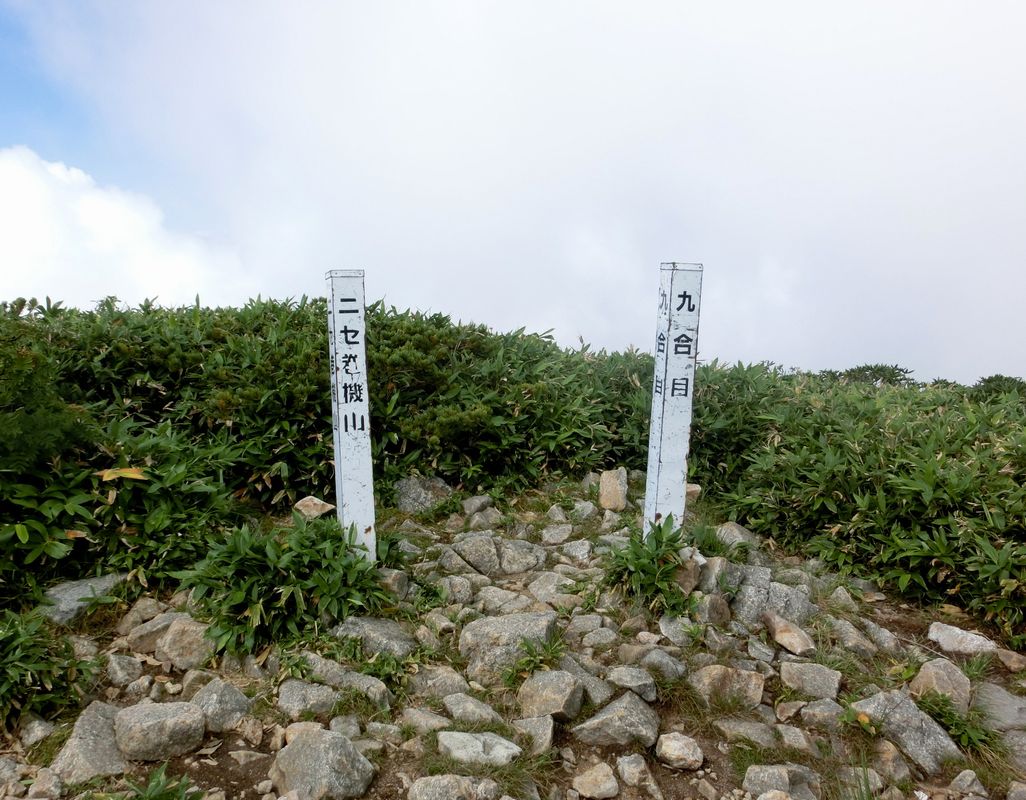b0185573_16345747.jpg