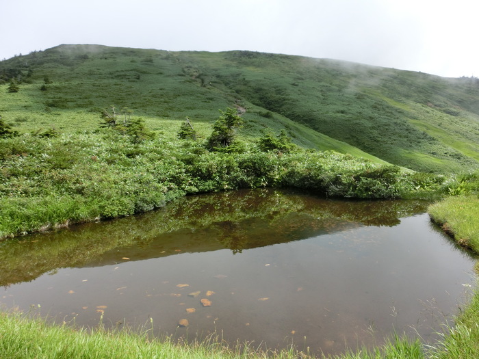 b0185573_17124771.jpg