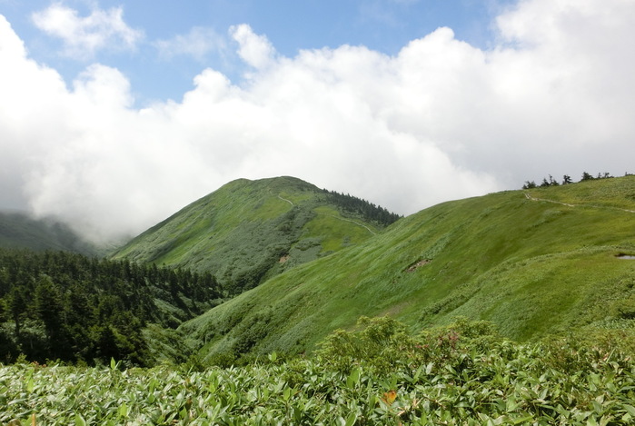 b0185573_17211288.jpg