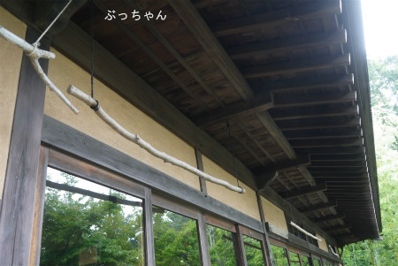 f0353990_10271014.jpg