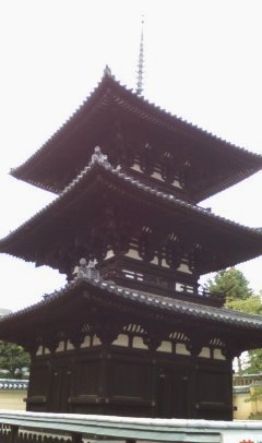 興福寺_b0205694_11124014.jpg