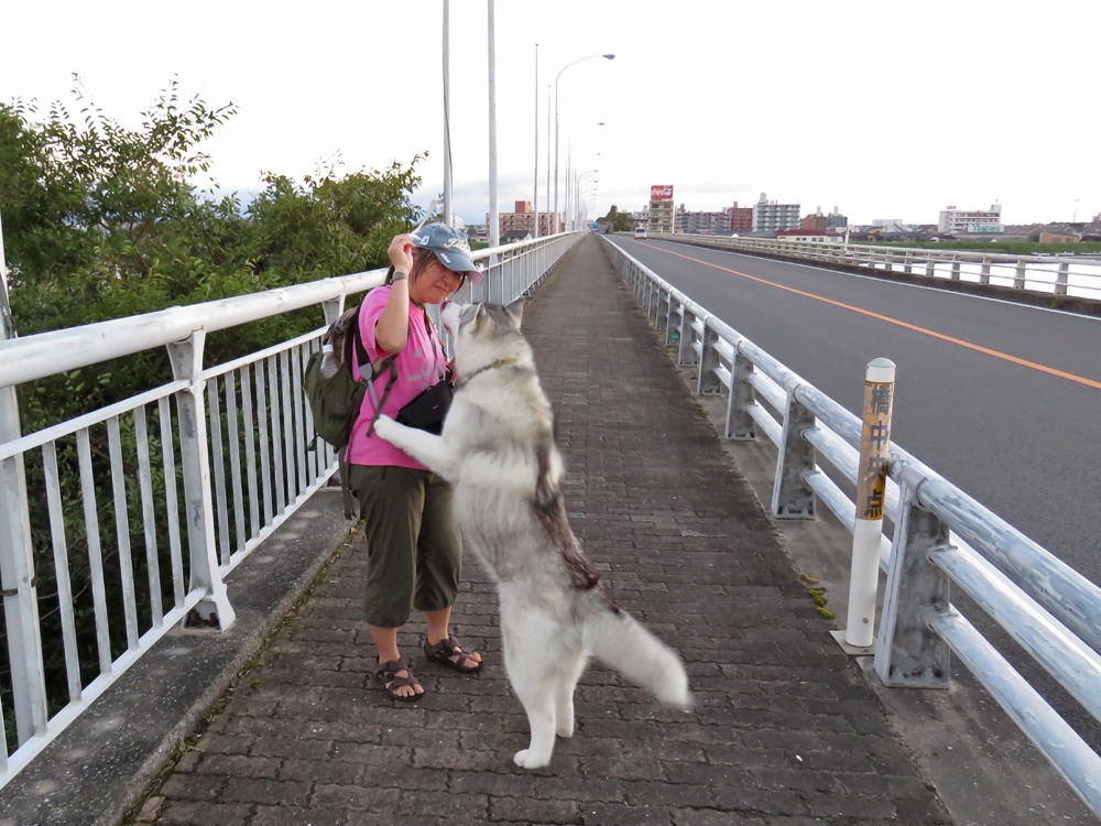 朝日を浴びて♪　(*^_^*)_c0049299_2257122.jpg