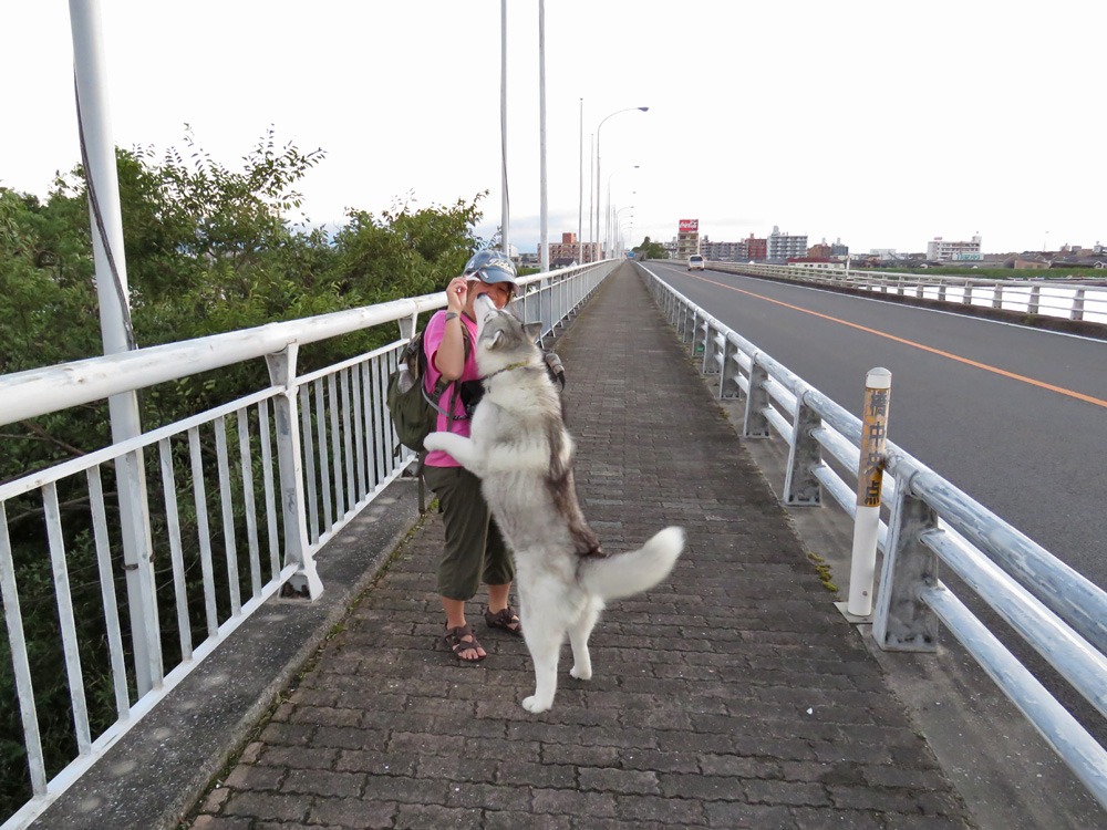 朝日を浴びて♪　(*^_^*)_c0049299_2258469.jpg