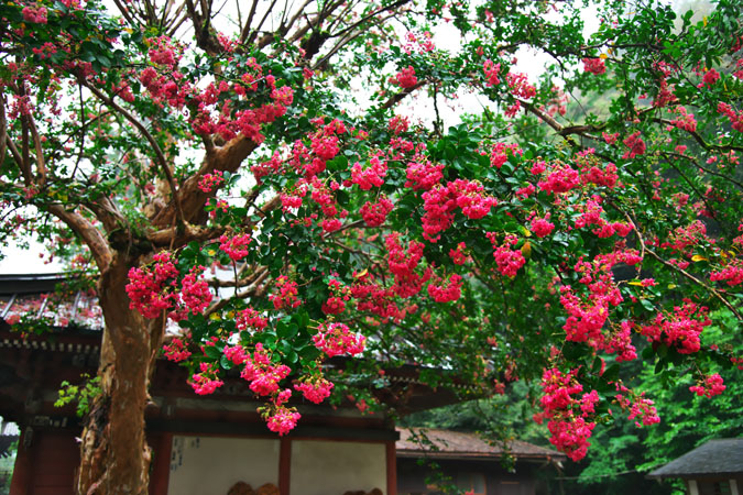 a0263109_211542.jpg