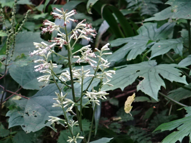 f0231709_93087.jpg