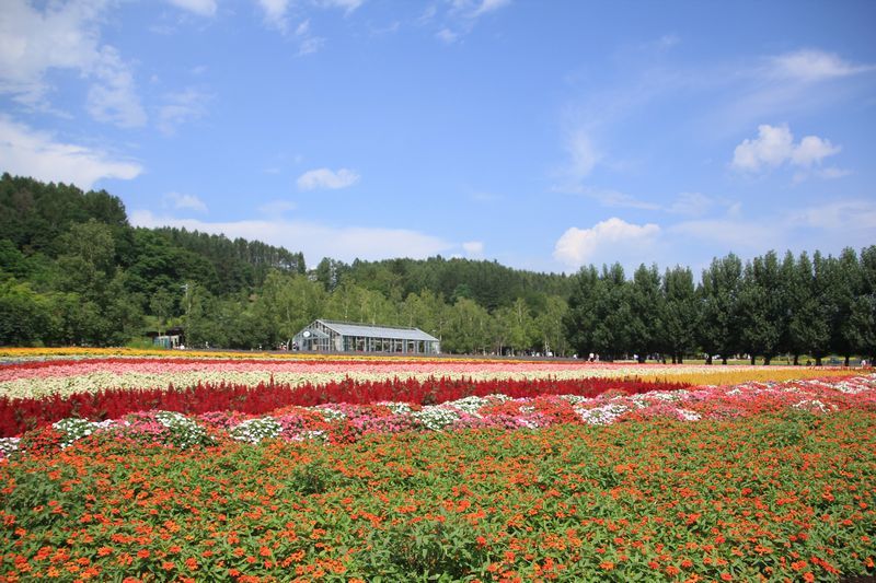 d0224111_22075153.jpg