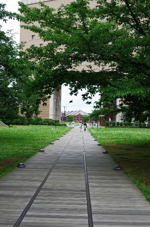 赤レンガへ続く道_c0352813_10404672.jpg