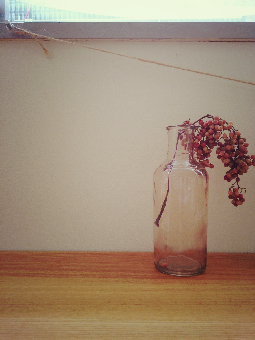 季節_e0149215_23524953.png